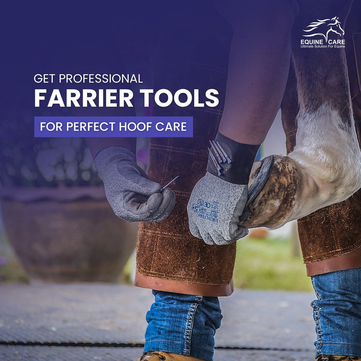 From hoof knives to nippers, our farrier tools mean business! Equine Care brings you the ultimate arsenal for impeccable hoof trimming and shoeing. Keep those hooves in top shape. 💯🔥

.
.
.
.

#FarrierTools #HoofCare #EquineHealth #HorseShoeing #ProfessionalFarrier