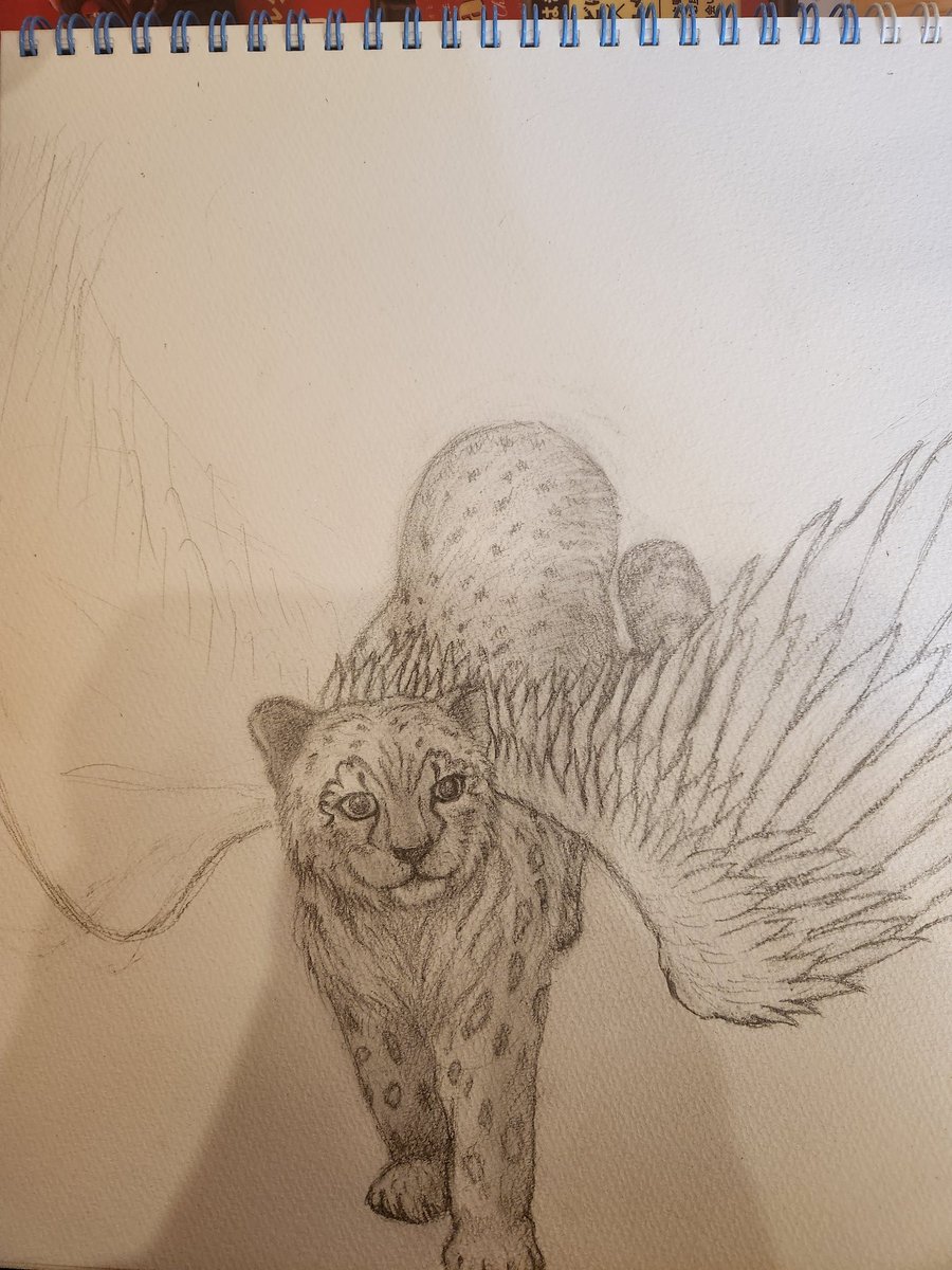 今日はまだ途中ですがユキヒョウを元に創作動物を描きました！！
#動物画
#animalart
#猫科動物
#絵描き