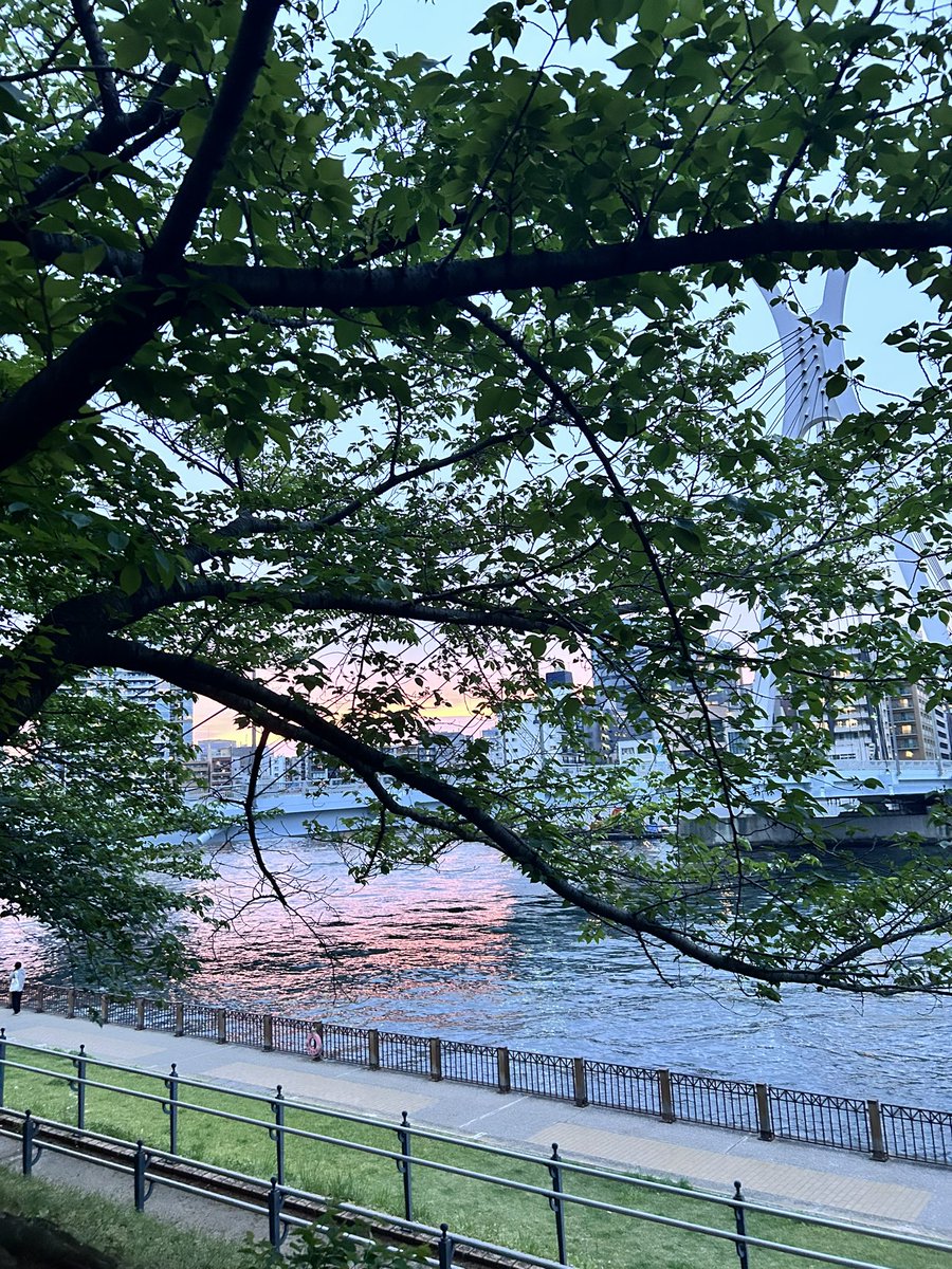 明日いいお天気になる前のサイン✨やっぱり夕焼けが一番好きだー！