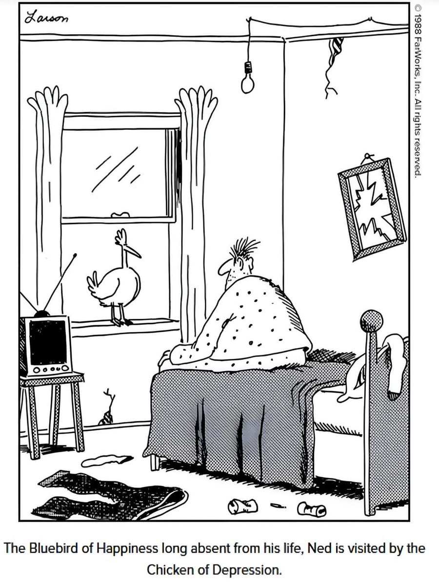 #thefarside