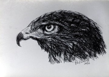 Buzzard by Paul Sutcliffe 
#johnnydepp #hughgrant 
#melbourne #milano #paris  #painting #homedecor #chicagoArt #sanfrancisco #wallartforsale #birodrawing #BirdsOfTwitter #birdphotography #birdsonearth
#stockholm 

fineartamerica.com/featured/the-b…