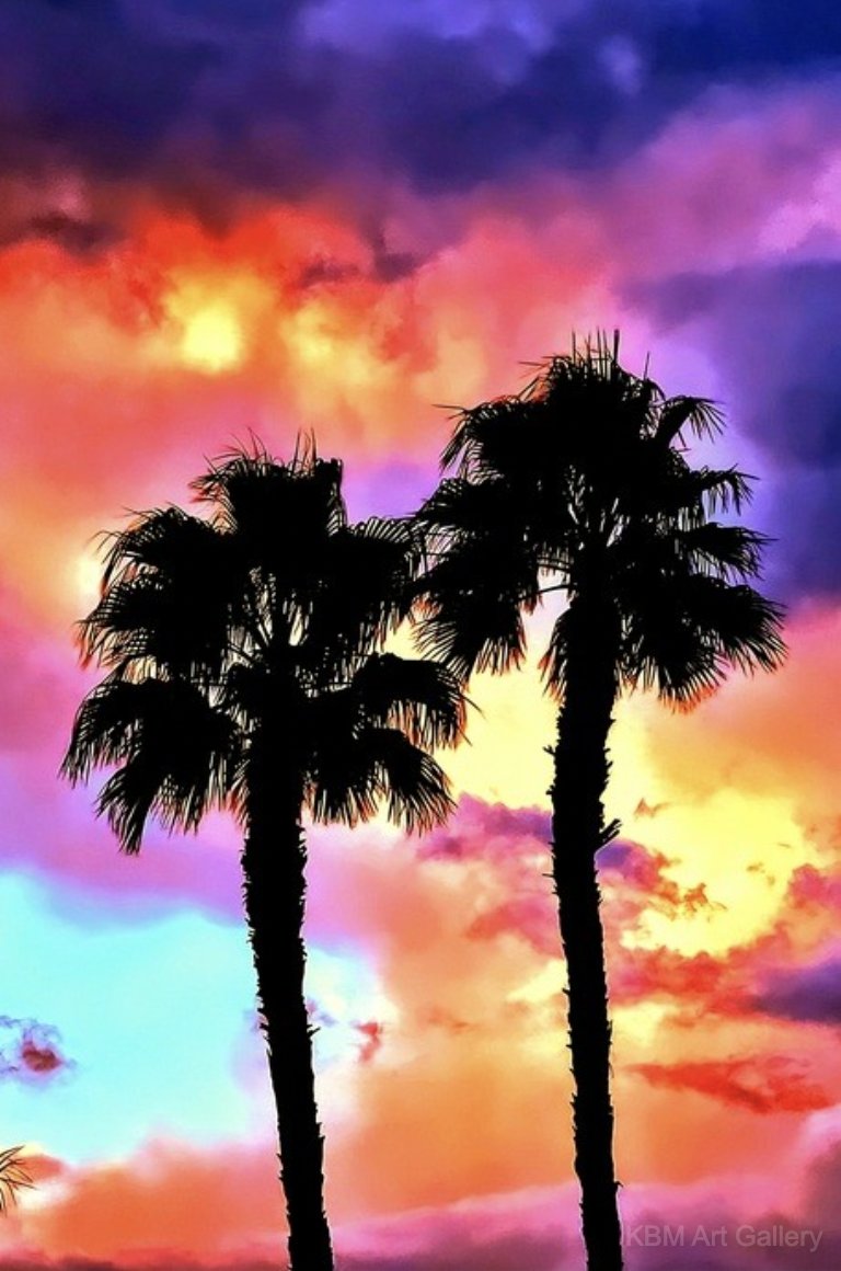 Explore our art exhibitions featuring talented artists from around the world! kbmartgallery.com hummingbirddragonflyartgallery.com Featured in KBM Art Gallery exhibition, “No Fools, Just Art.” 'Palm Desert Skies' Edwin Liew-Ferguson Photography on Canvas 36' x 24' 2024 $400
