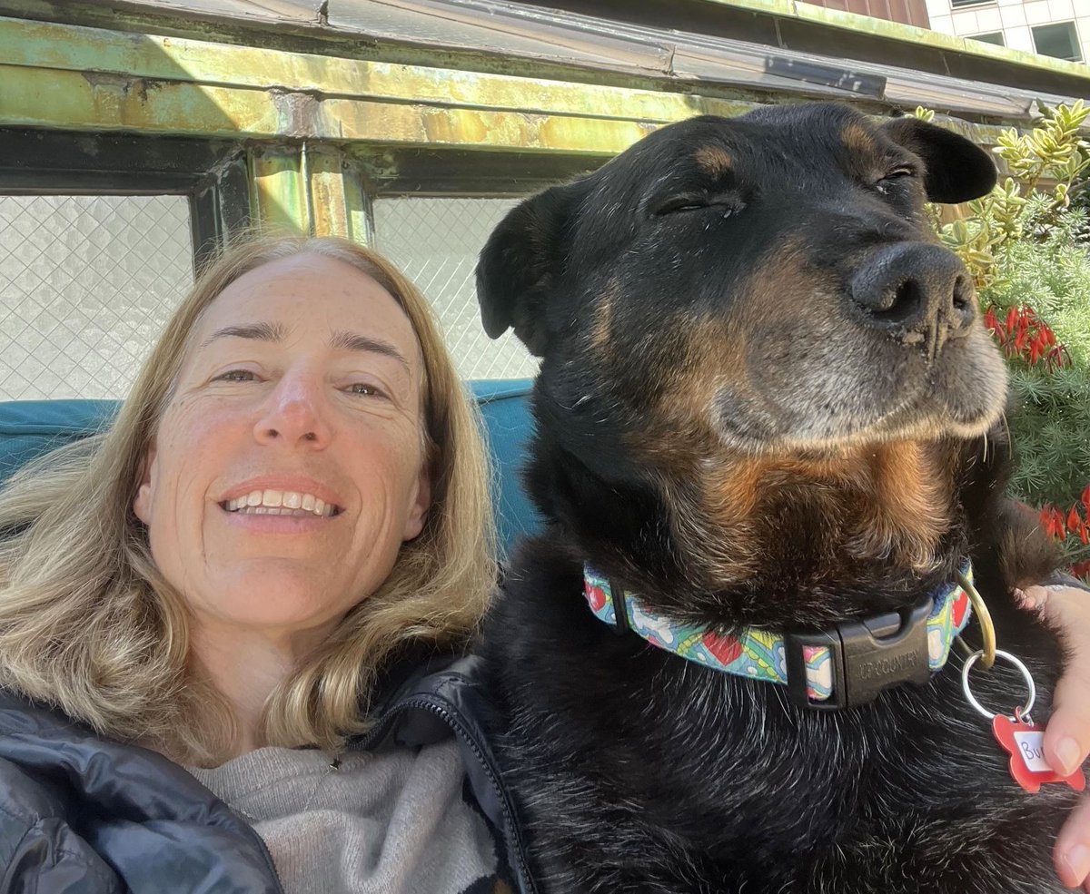 Muttville's tweet photo. It's a #FosterWin for Buoy! His mom, Dana found Muttville through @FITNESSSF and fostered this Queensland Heeler/Rottweiler boy found wandering in Lake County. What a great match it is, enjoy life in #SanFrancisco, Buoy! 💞 https://t.co/SZezcuFmwu