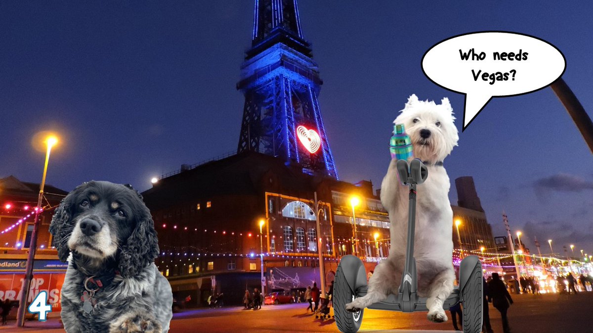 I bet a lotta #zzst pals know where this is.... @CancerDoggy