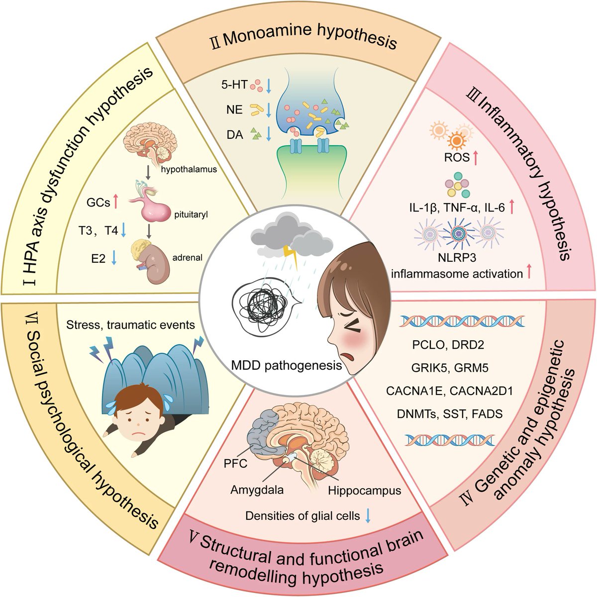 Major depressive disorder: hypothesis, mechanism, prevention and treatment 👇👇👇 nature.com/articles/s4139…