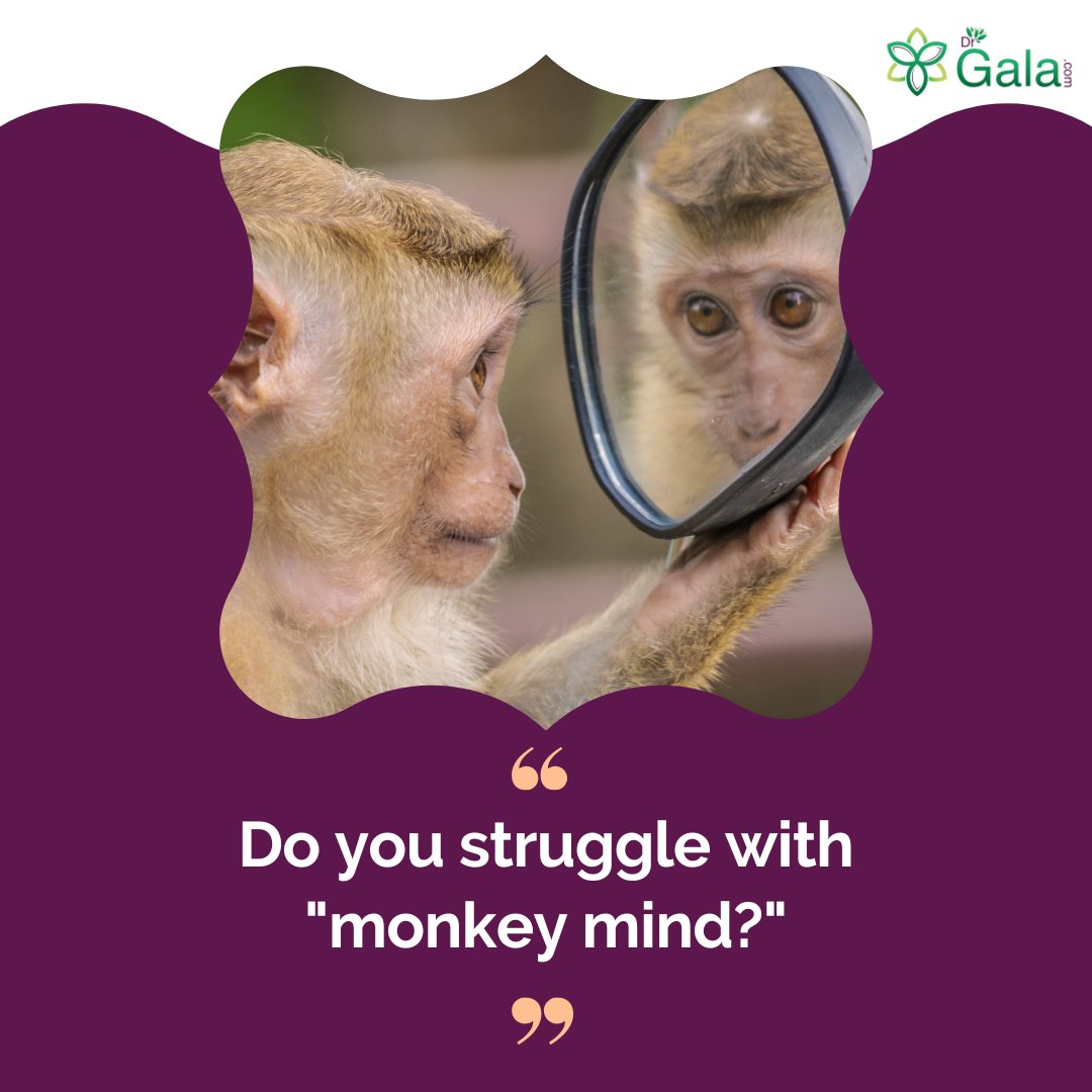 If you find yourself constantly distracted by a 'monkey mind,' it's time to take control of your thoughts. Try these tips to find focus and clarity in your daily life.

Access FREE resources at rcl.ink/z0iXt
.
#mindfulness #meditation #drgalagorman
