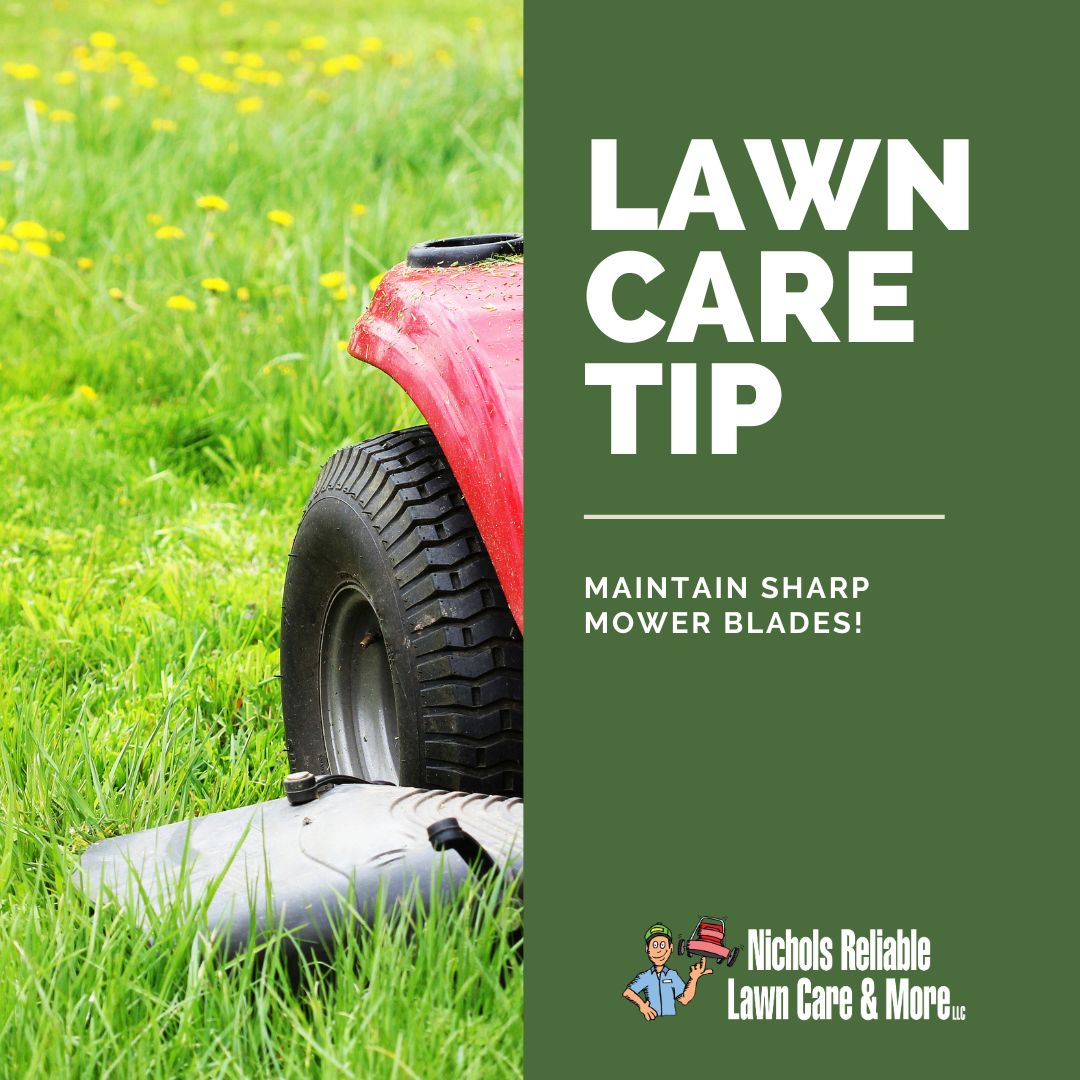 Regularly sharpen your mower blades to keep your lawn looking lush and vibrant. Your grass will thank you for it! 🚜✂️ #LawnCareTip #SharpBlades #HealthyLawn