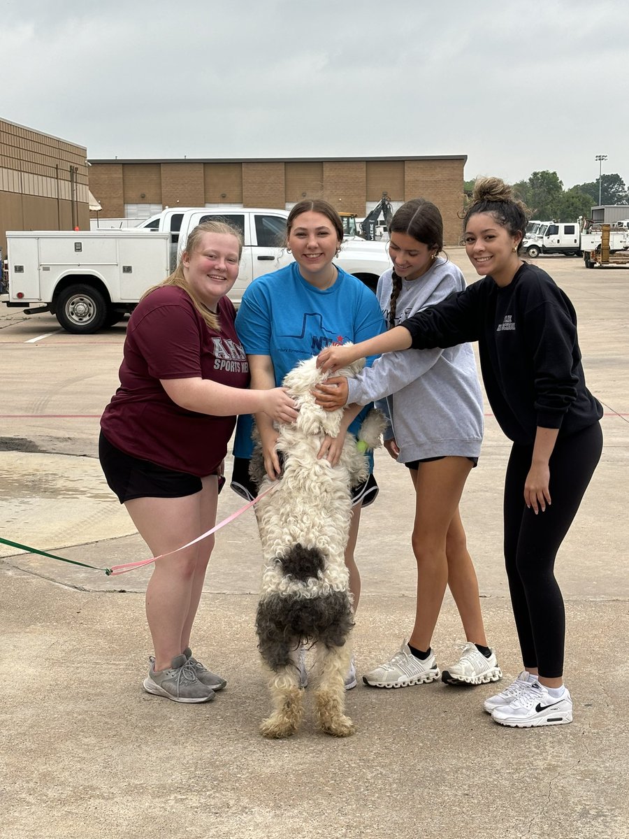 AHMO Sports Med spent the morning helping out at the Wylie Animal Shelter. We cleaned kennels and fell in love with lots of puppers. If you need a new family member, check them out. #adoptdontshop #volunteering #AHMO