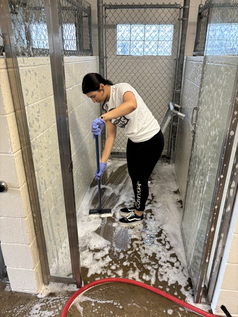 AHMOSportsMed's tweet photo. AHMO Sports Med spent the morning helping out at the Wylie Animal Shelter. We cleaned kennels and fell in love with lots of puppers. If you need a new family member, check them out. #adoptdontshop #volunteering #AHMO https://t.co/uQmqUzdMEF
