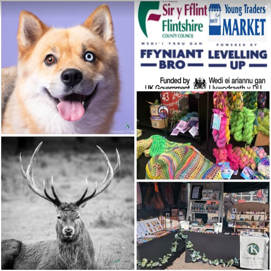 Marchnad Masnachwyr Ifanc Gwres dau, 11 Mai Marchnad yr Wyddgrug Young Traders Market Heat two, 11 May Mold Market @marketsmatter @NABMA_Markets @NWalesSocial #UKSPF