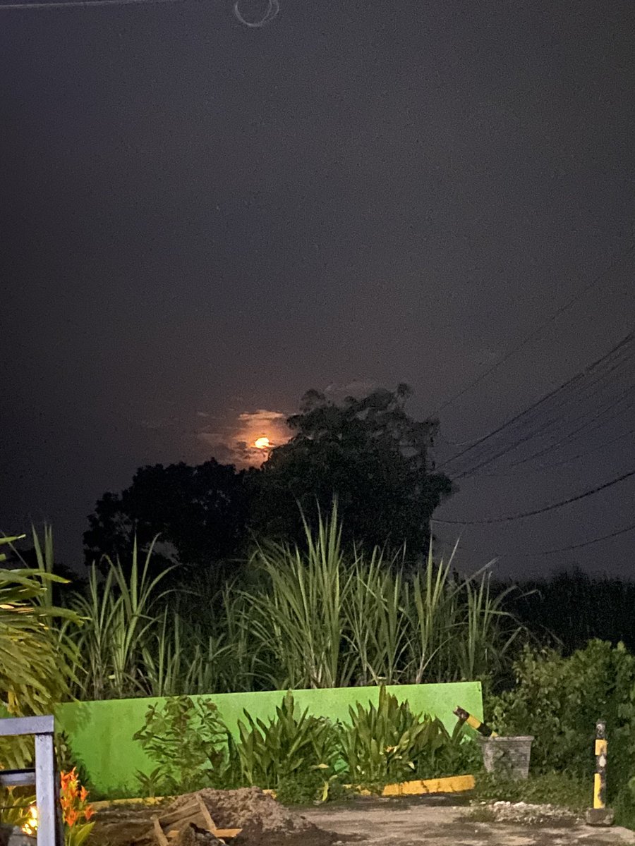 icalianti's tweet photo. Bulan malam ini kaya jeruk ya https://t.co/rGg1vOgLuV