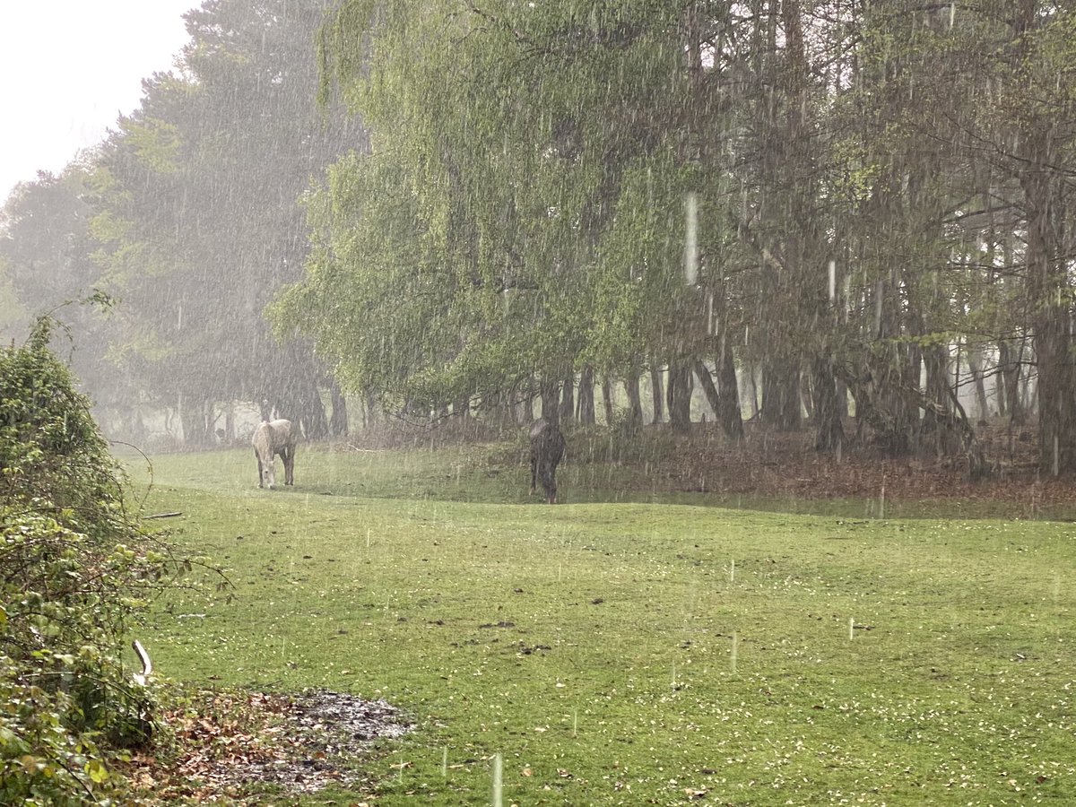 ExploraNeedham's tweet image. Got wet knickers