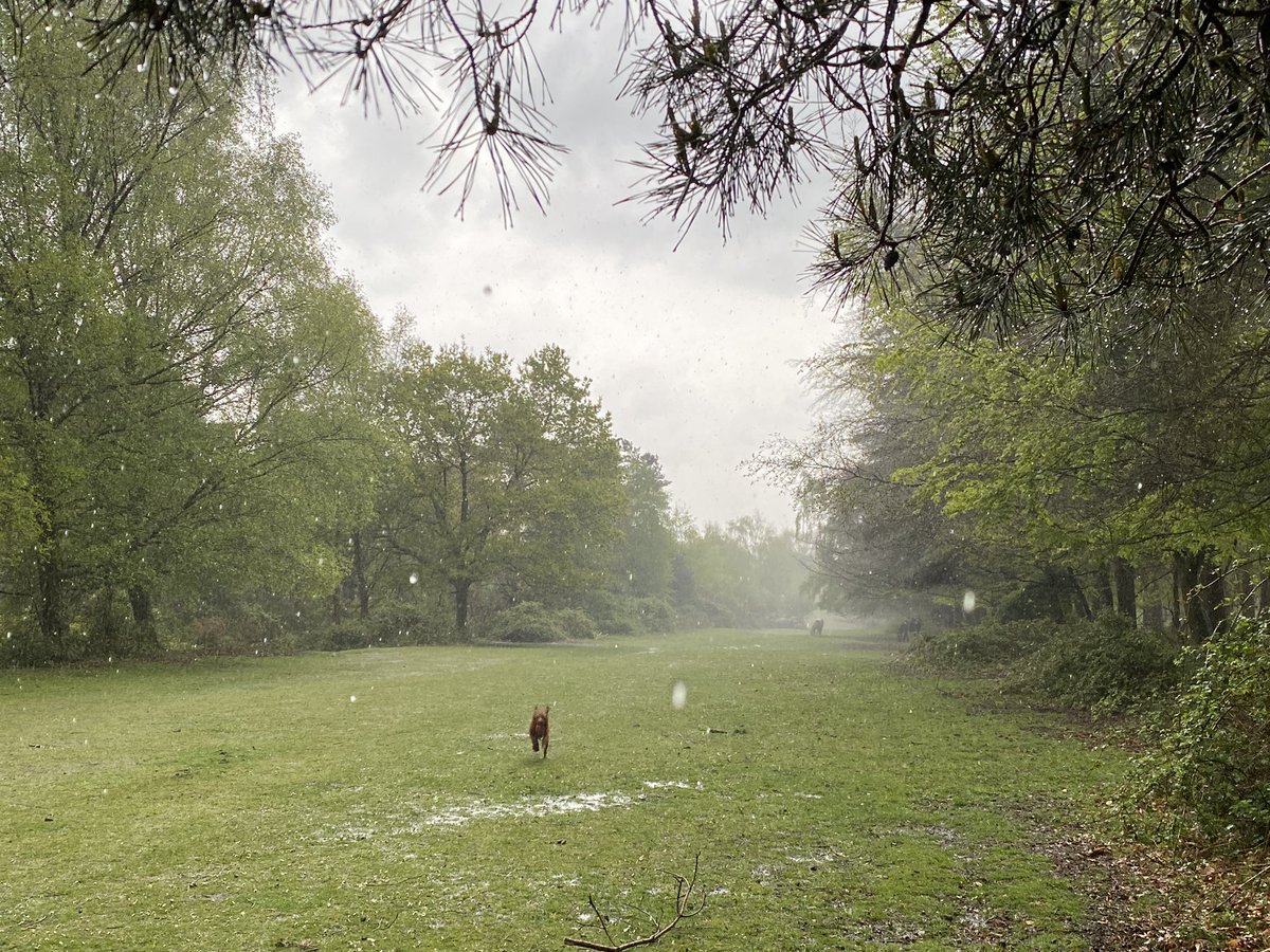 ExploraNeedham's tweet image. Got wet knickers