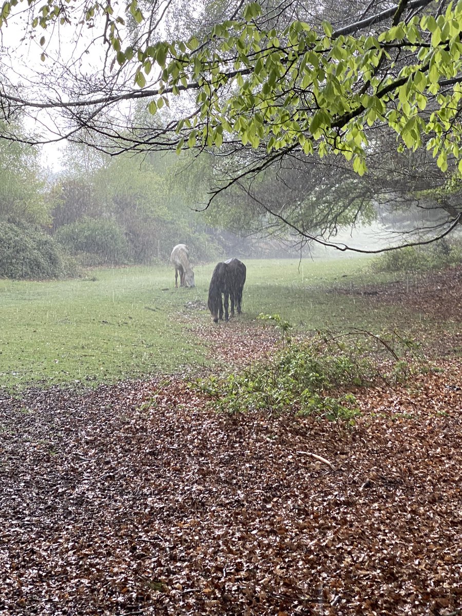 ExploraNeedham's tweet image. Got wet knickers