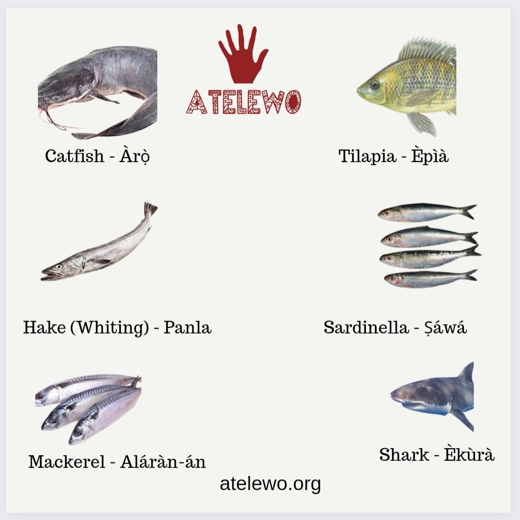 Learn what some fishes are called in Yorùbá Language... #Atelewo #Yoruba #Eja #OrukoEja #Fishes #Fish