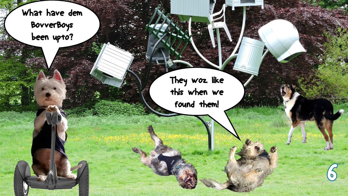 Wot the fluff crazy world is this that dem #BovverBoys are #AiringYerBits???? #zzst @Norman_Dillon1 @jennystape @CollieTwiggy