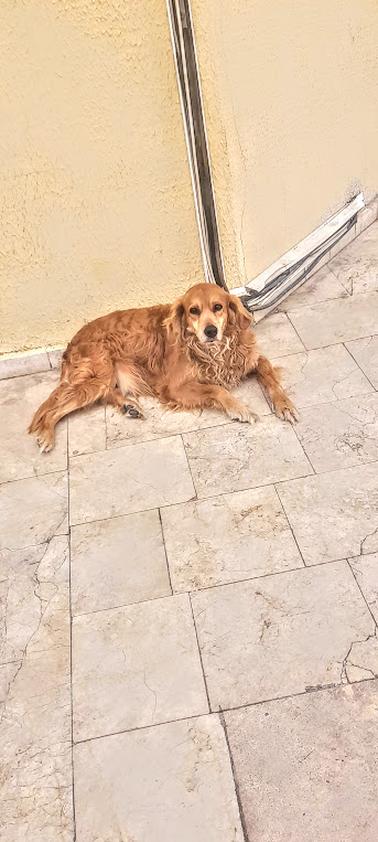 Köşe başı beklermiş