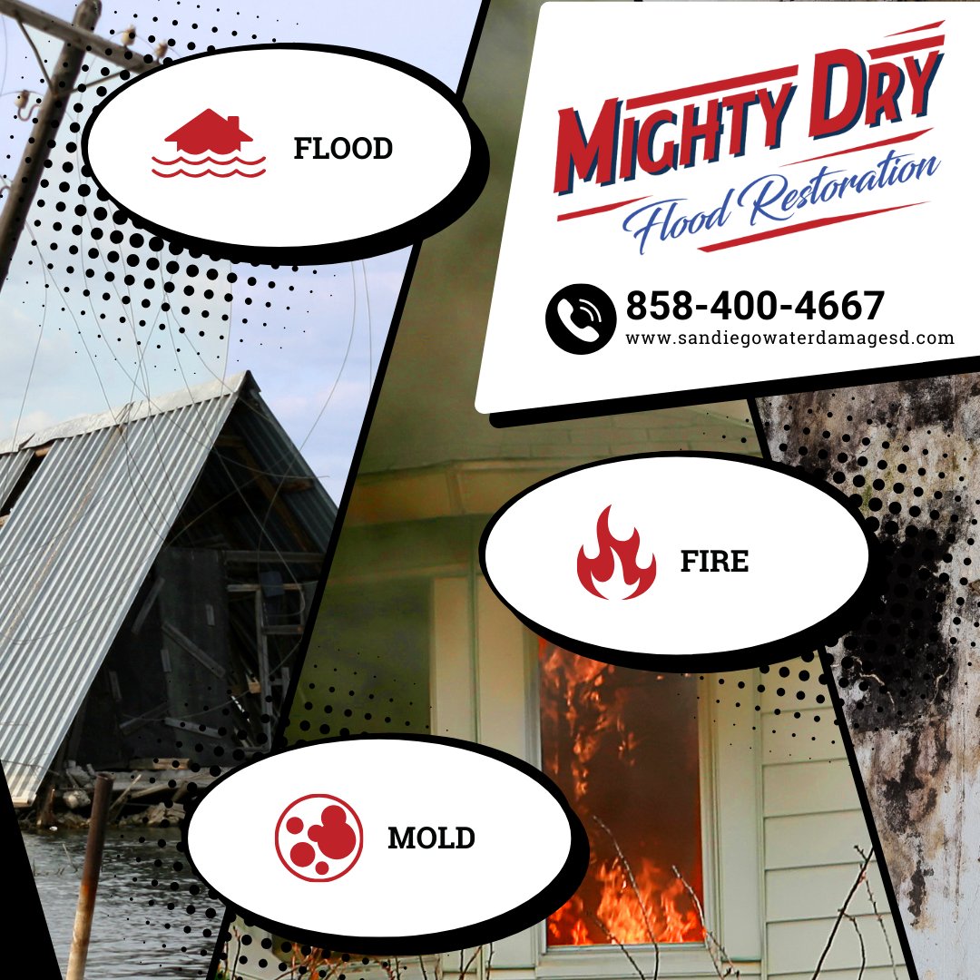 Don't let disaster take control.  Contact Mighty Dry for expert fire, flood, and mold restoration.
#waterdamage #floodrestoration #mightydry #molddamage #firedamage #socal