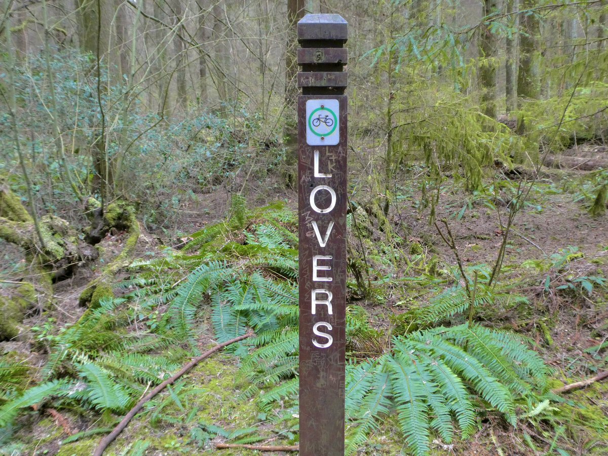 🚲 #CelebrateTrailsDay - Lovers Trail, Stanley Park, Vancouver, BC 🇨🇦 <a href="/railstotrails/">Rails to Trails Conservancy</a>