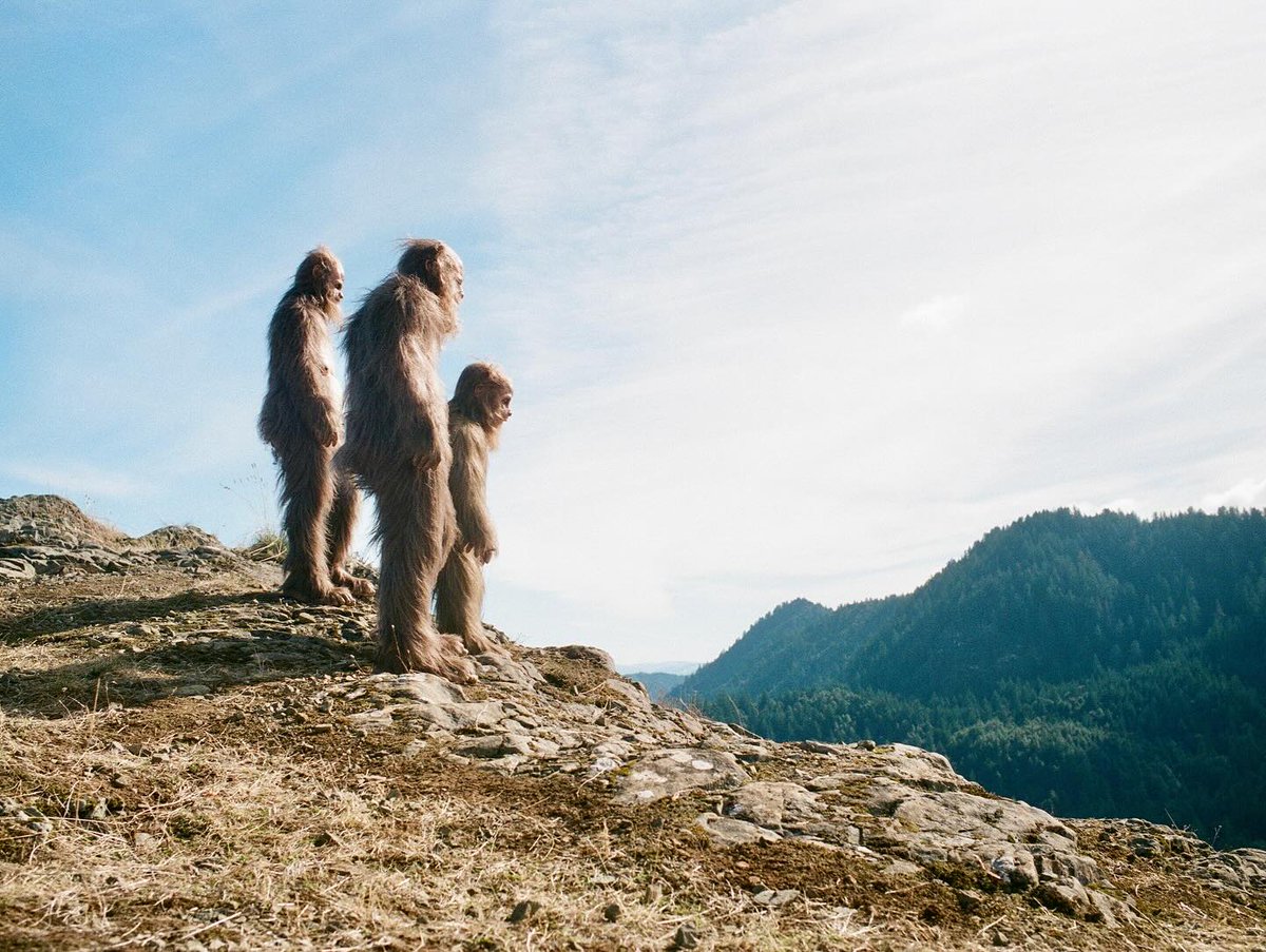 'Behind the scenes on #SasquatchSunset
So much love and care was put into this film. So grateful to everyone who has been along for the adventure.'

Nathan Zellner via Instagram