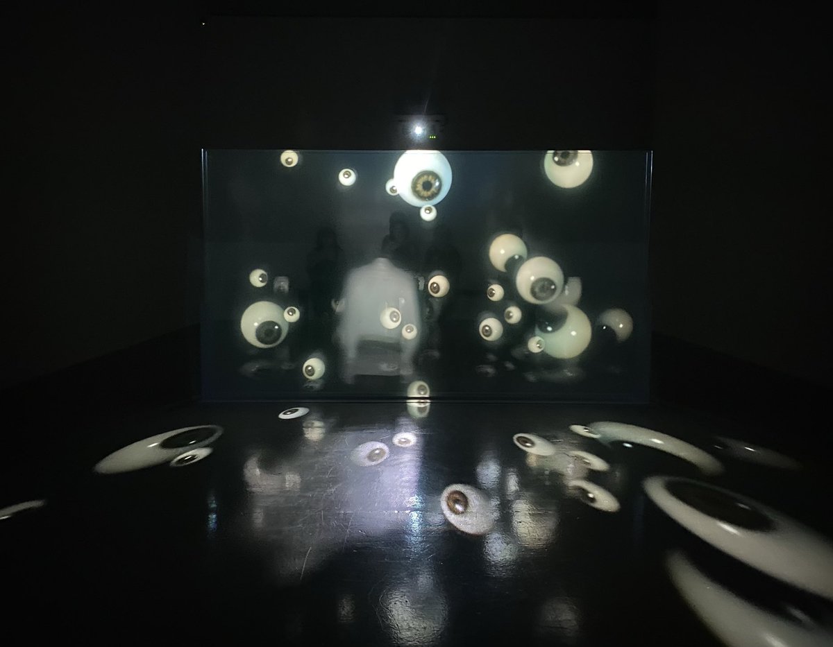 kenjirohosaka's tweet photo. アピチャッポン・ウィーラセタクンの2チャンネルの映像作品。Solarium。透過性のあるガラスを2枚使うインスタレーションによって、彼のメインモチーフである亡霊を扱う。目玉がむしろユーモラスになっているのが特徴か。谷中のSCAIで25日まで。 https://t.co/HkgEMBfyL9