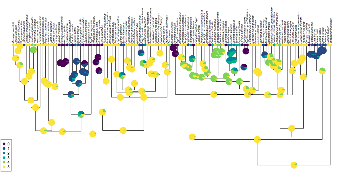 Liam Revell tweet media
