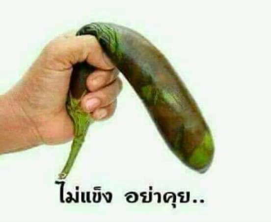 เจ็ดเรือยอร์ช tweet media
