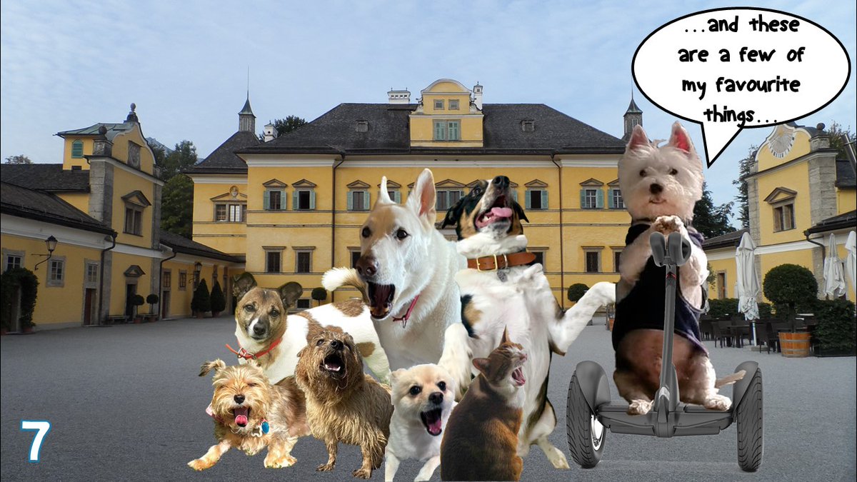 Now, surely yoos can get this one from the clues.... Just look at dem 7 singers.... #zzst @SuzyYoung24 @dougal_dog @KLittleman33 @AviwhiteGSD @Ellie12_fml @MayleePup @aurora3s