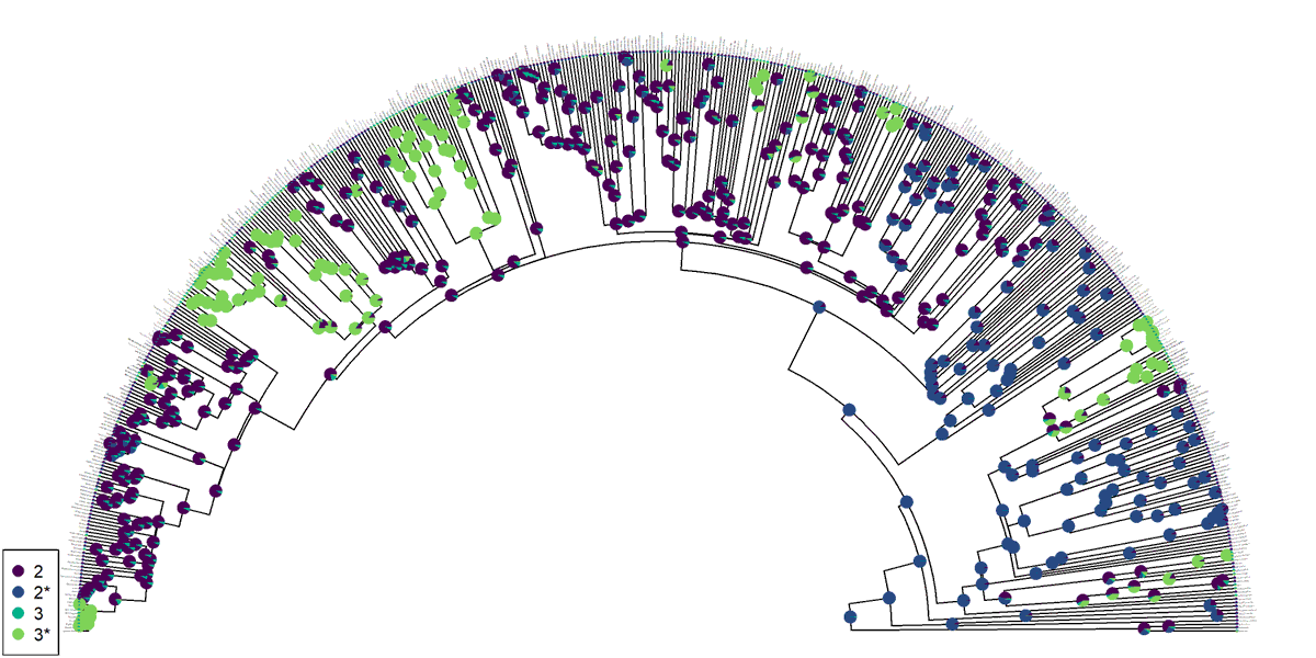 Liam Revell tweet media