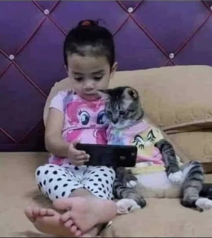 The father of this little girl says he brought her a cat to forget about the phone, but this is what happened. ❤️❤️