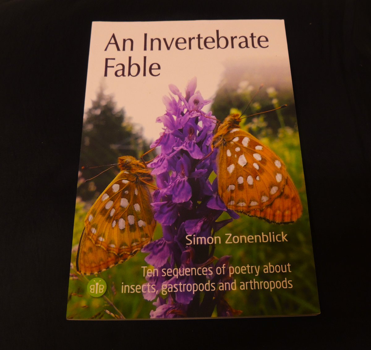 An Invertebrate Fable is my first full length #poetry collection, published by @BramblebyBooks in 2022. Buy it here bramblebybooks.co.uk/book/an-invert…