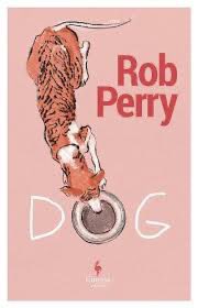 Had a great time at Sheffield Central Library chatting with Rob Perry about his beautiful, brilliantly funny debut DOG - out now!!! @EuropaEdUK @RhymeAndReas #newfiction #BookTwitter