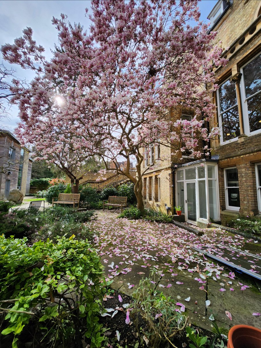 Another great teaching weekend for the MSc in #MedEd with topics on leadership, mentoring & coaching; widening access & participation; qualitative research; neurodiversity & disability! Photo of @OxfordDeptofEd (Spring in Oxford is something else!) #HPE