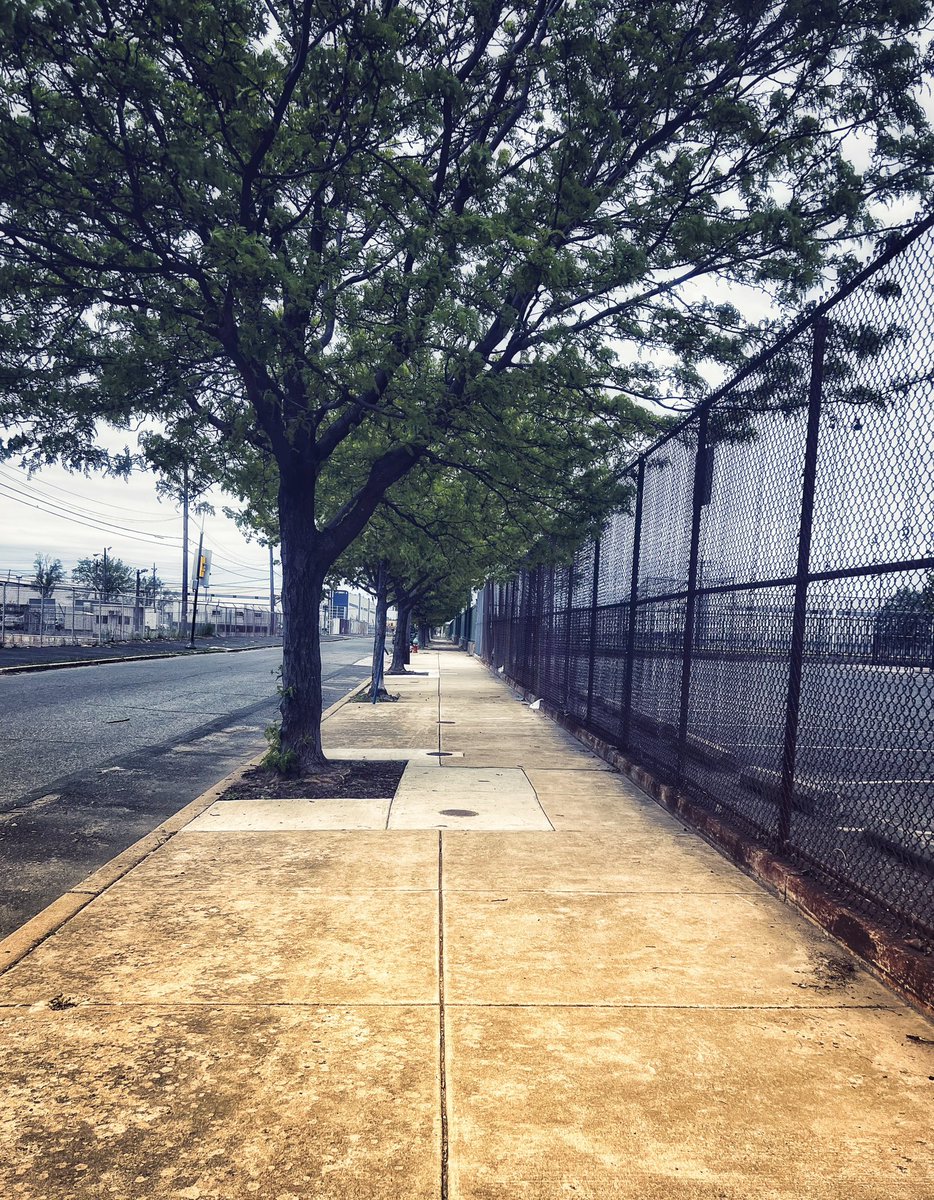 Woke up in Philadelphia this morning This sidewalk was so aesthetically pleasing📸🐟 この歩道はとても美しかったです