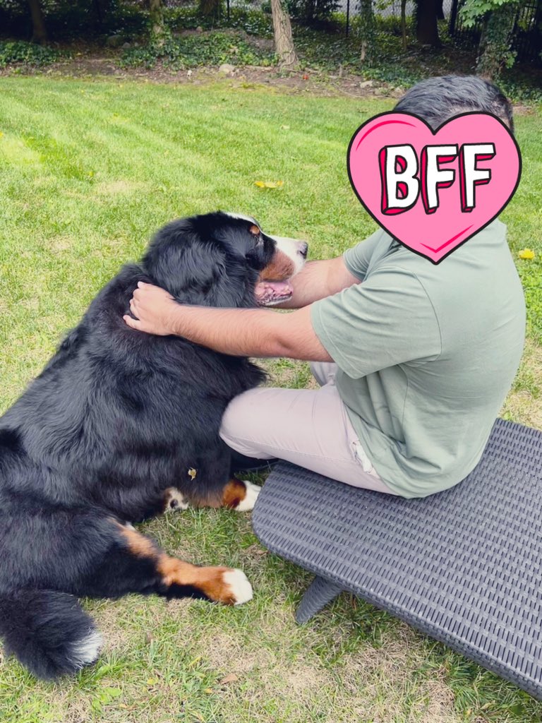 RussianBerner tweet picture