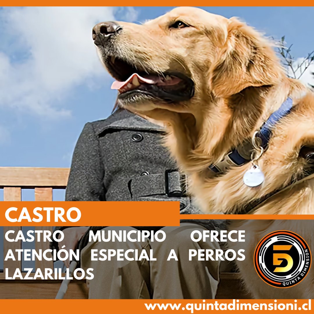 5dimension_cl's tweet photo. 🔘 #Castro #Chiloé: El Centro Veterinario municipal los atiende gratuitamente ofreciendo inscripción, control sanitario y atención primaria.

https://t.co/2vm2UezT1H

#CastroChiloe #CastroCity #CastroChile #InstaCastro #Chiloe https://t.co/QRMqC5dVCU