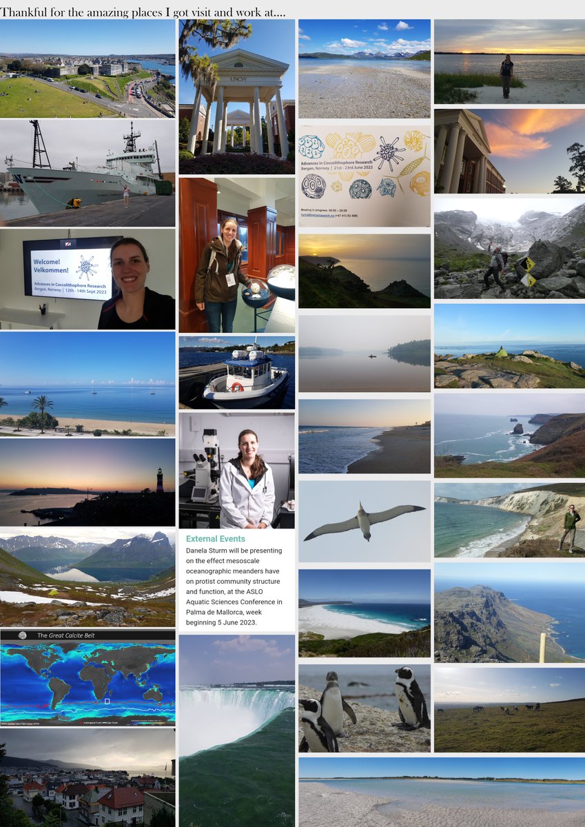 Daniela Sturm tweet media