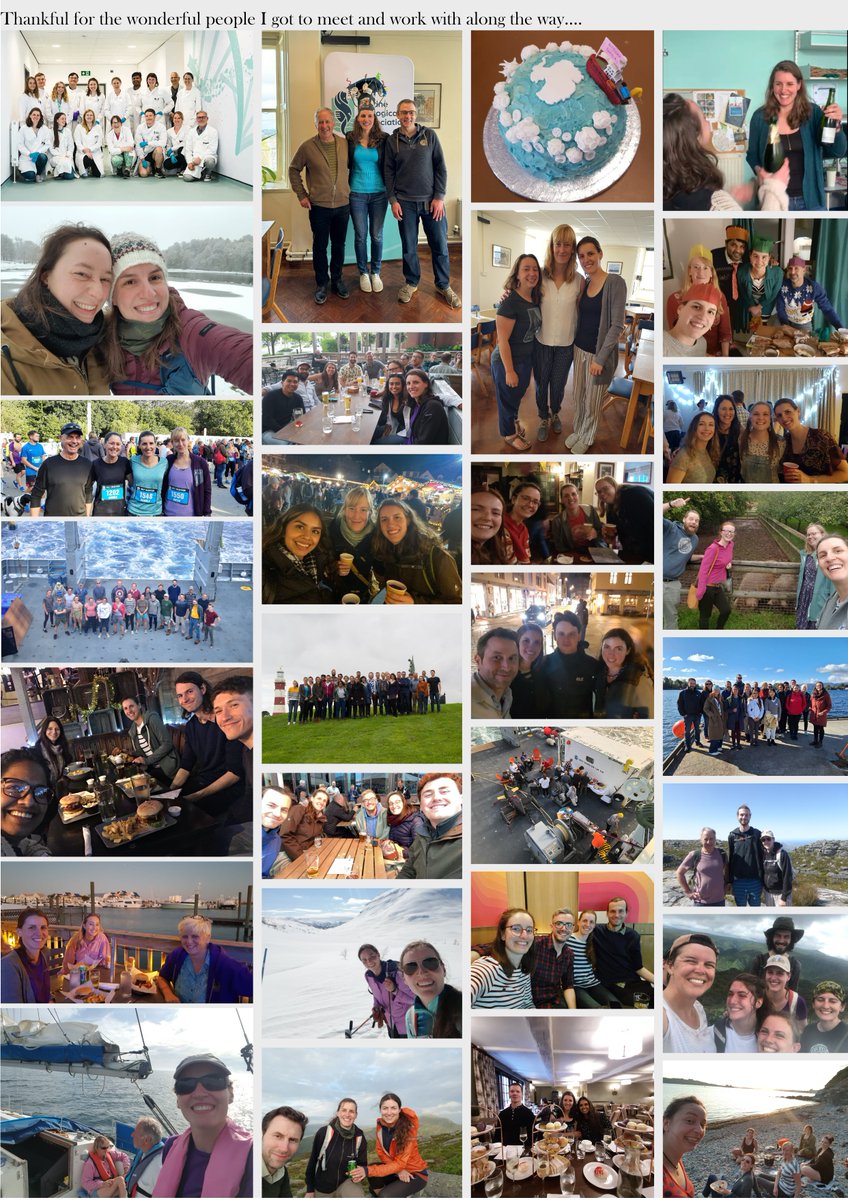 Daniela Sturm tweet media