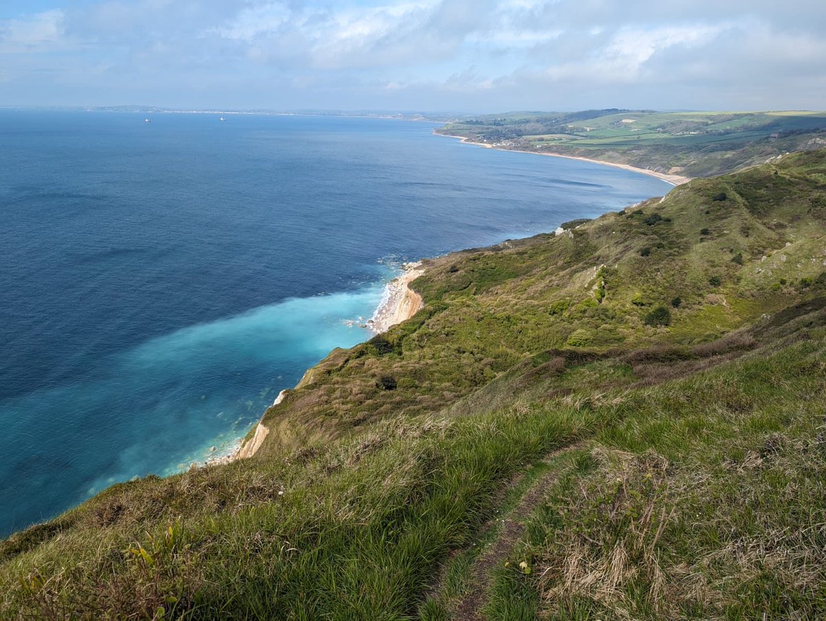 Lovely today down on the #JurassicCoast ❤️🦕 Really recommend the White Nothe undercliff. 👍