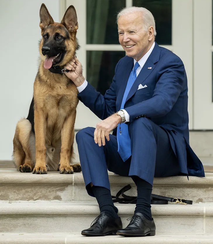 Vote for Biden. He doesn’t murder his pets.