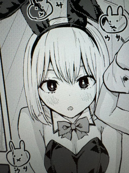 双子菜園次回更新5/3分からチラ見せ。🐇お楽しみに! 