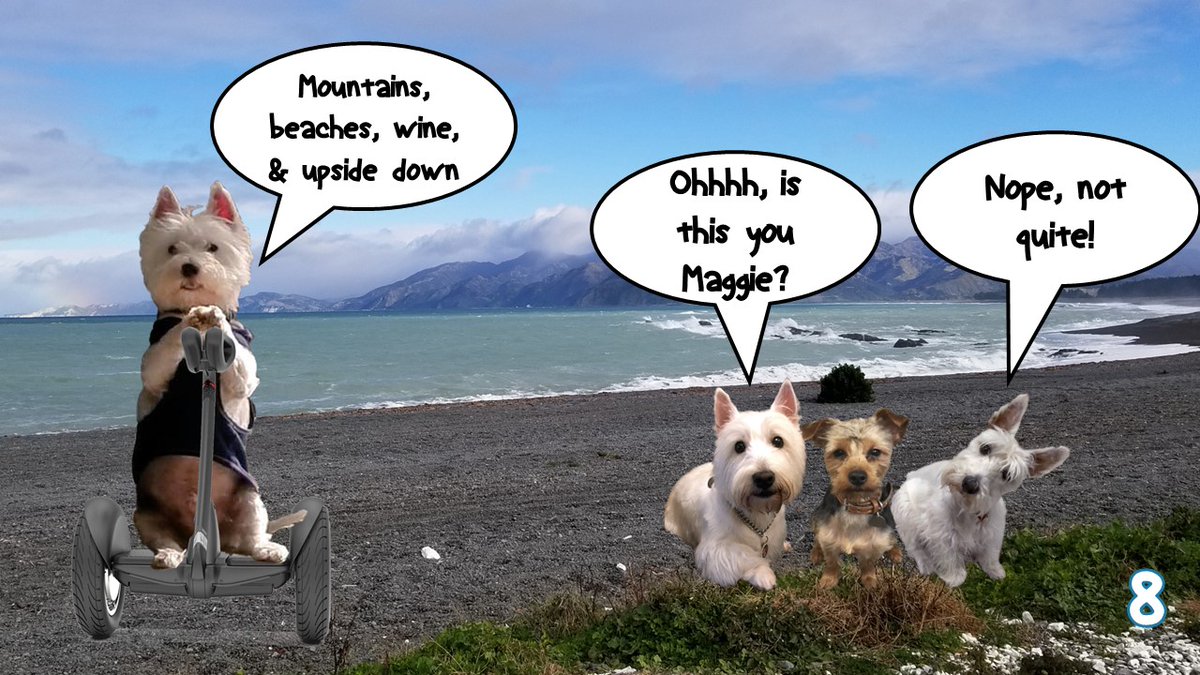 <sniggerz> @Maggie60310325 is giving us a hint.... #zzst @DogDazeUK