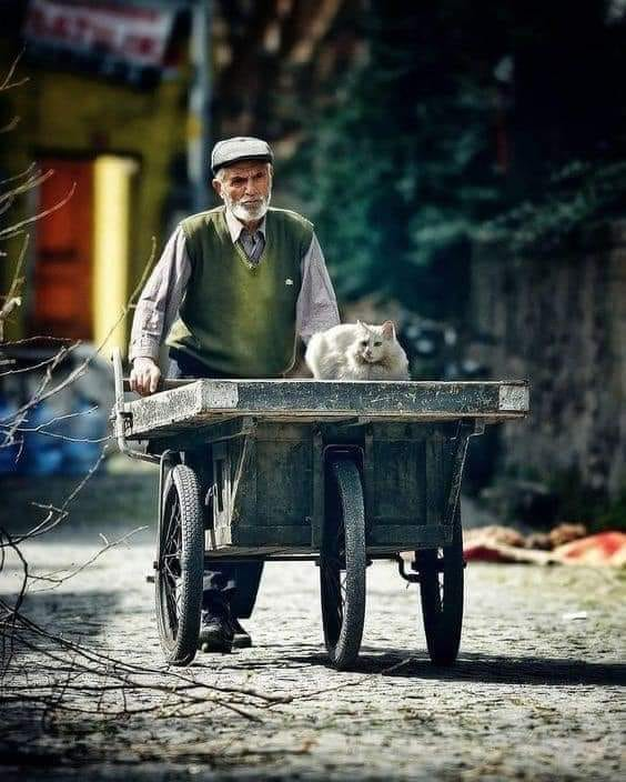 LunaGitana0333's tweet photo. Elección de vida:
Le pregunté a la vida, que necesitaría hacer para que está me durará muchos años.
―Solo víveme ―me contestó.
―Pero todo lo que se usa se acaba ―le respondí.
―Y lo que no usas caduca ―replicó―. Así que disfrútame sin pensar cuanto dure, víveme sin pensar en el tiempo, disfruta porque solo una vez pasaré por tu existencia.
Y tras una pausa siguió diciéndome.
―Soy solo momentos, a veces miel, otras, limón amargo. 
«Camina, no corras, deléitate en el recorrido, baila bajo las bendiciones que caen en forma de lluvia desde el cielo. Da gracias cada día por la suerte de existir, las ganas de esperar, la fuerza de resistir, pero sobre todo la humildad de agradecer. No siempre tienes que ser fuerte, también se vale respirar las debilidades. Lucha, valora, se feliz con lo que tienes y no sufras por lo que te falta, la felicidad no tiene receta, cada quien la prepara con sus propios ingredientes. Se realista al escribir tus prioridades, porque quizá no tengas tiempo de pasar la lista a limpio. Sigue aprendiendo de ti misma, que el aprender es infinito ―y concluyó diciendo―. Deja ya de preocuparte tanto, el pensar no te quita las penas del mañana, solo te quita la alegría de tu hoy».
«La vida es un camino, vivir es caminar».
