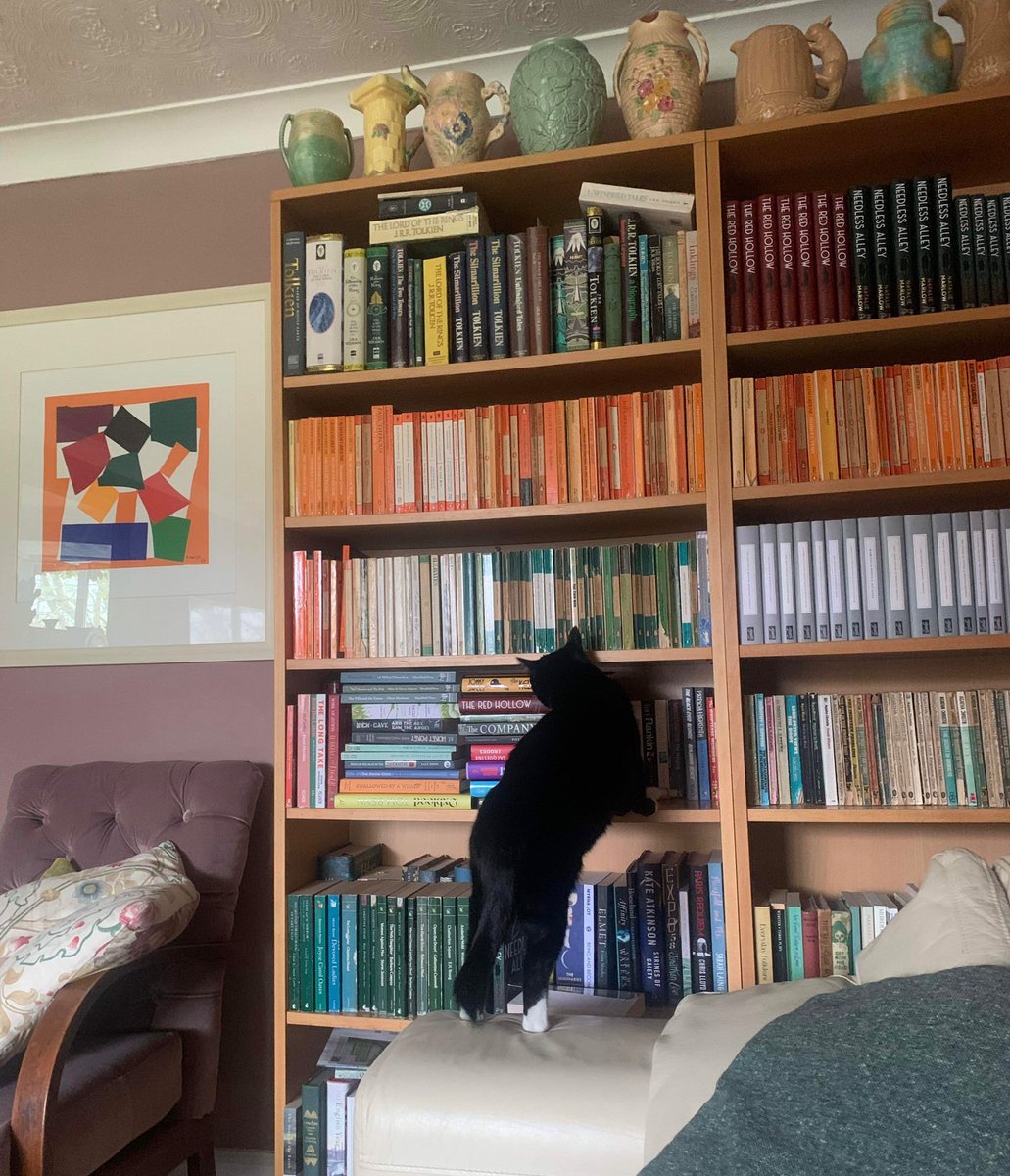 Magpie the cat choosing classic crime fiction. (And looking like the model for the cover of Richard Osman’s new book!)