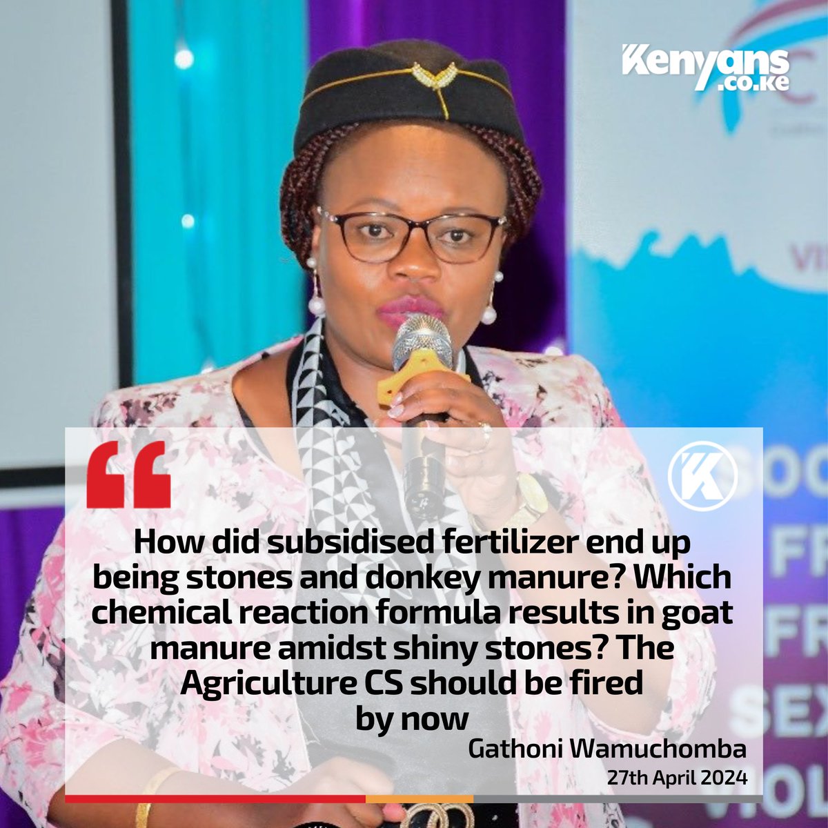 How did subsidised fertilizer end up being stones and donkey manure? - Gathoni Wamuchomba