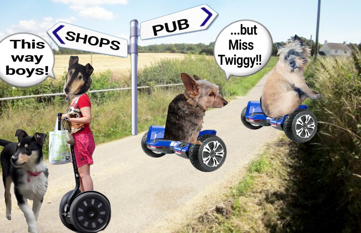 Oh no! Miss Twiggy has seen the signpost. She knows there are shops that way now!!! But Miss Twiggy, the pub is this way.... #zzst #segway #BovverBoys @jennystape @CollieTwiggy