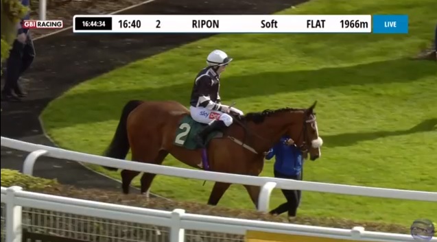 An impressive win for Spirit Of Acklam and Joanna Mason @jomason90 in the Novice Stakes at Ripon @RiponRaces for Michael and David Easterby @MickEasterby! Well done Jo! 🏇🥇🏆 #winner #Ripon #HorseRacing #skybet #congrats