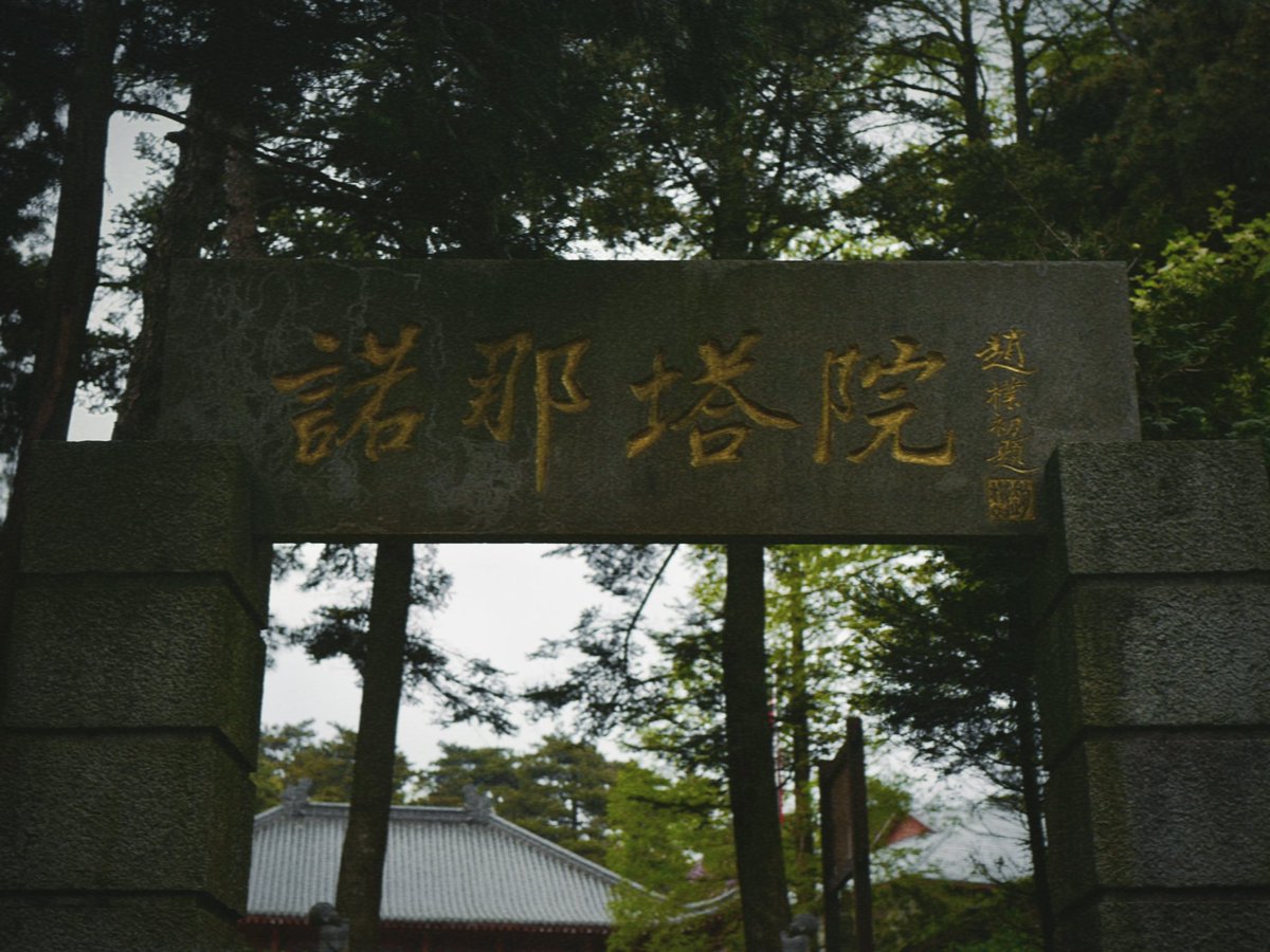 混世不吝 tweet media