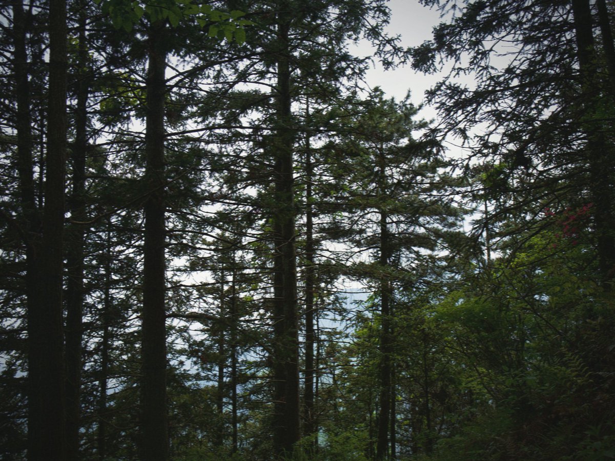 混世不吝 tweet media