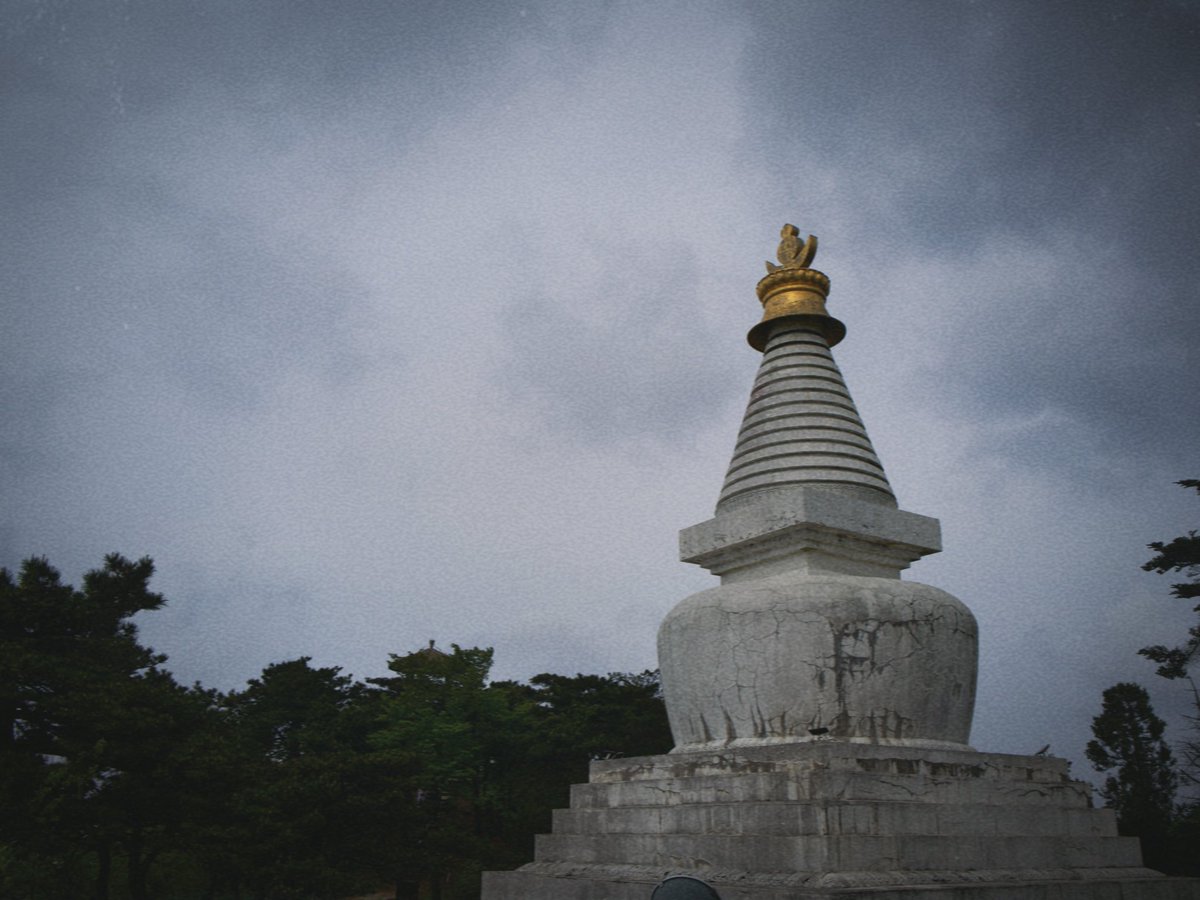 混世不吝 tweet media